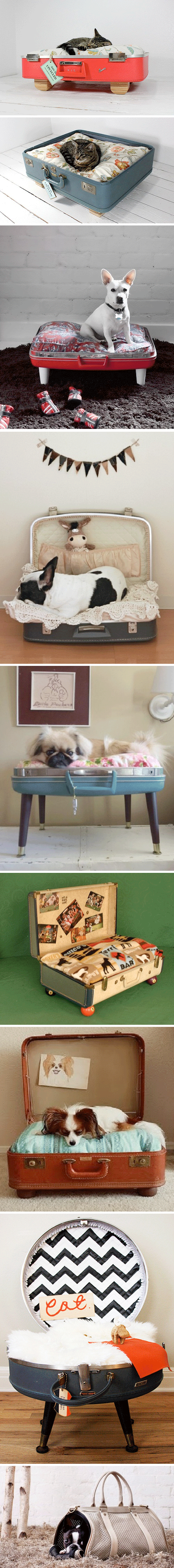 Camas-maletas vintage para mascotas