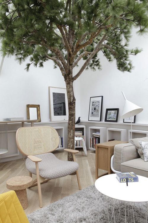Pino marítimo en sala loft Rue Voltaire