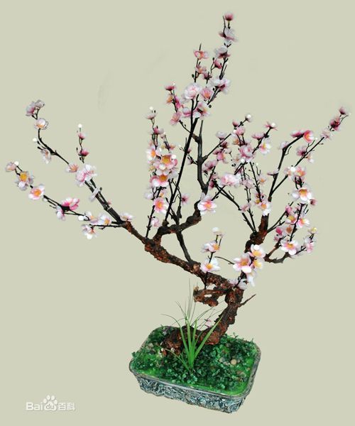 Bonsai de flor blanca