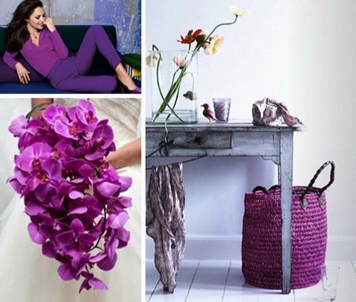 Interiores Radiant Orchid II. Decoración de interiores