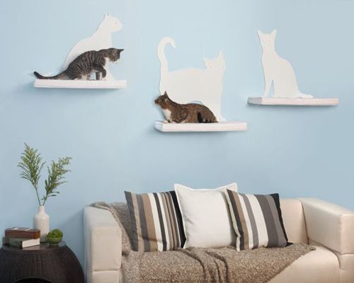 Estanterias para gatos DIY III