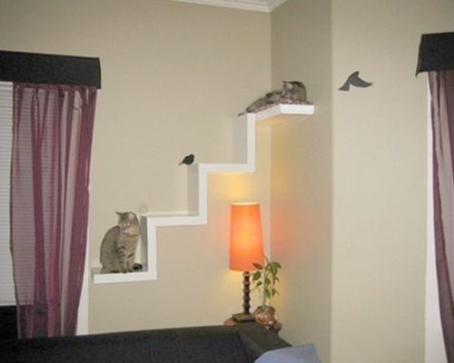 Estanterias para gatos DIY V