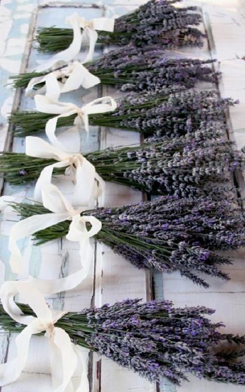Bodas, tendencias 2014 |  Lavanda