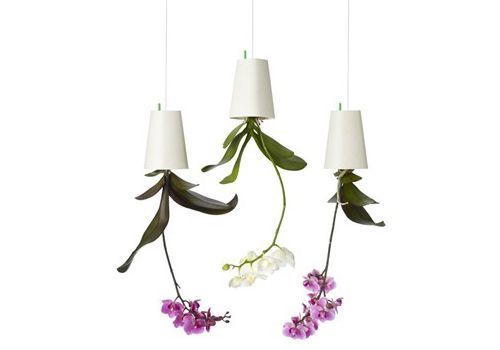 Sky planter, de Patrick Morris