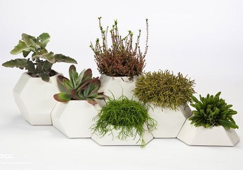 Diseño de Interiores Green | Macetas Cool del estudio Pott