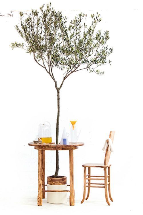 Diseño de Interiores Green | Taste of Wood, de Antonio Aricò