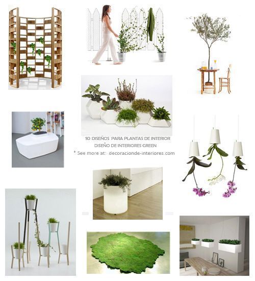 10 diseños originales para plantas de Interior | Diseño de Interiores Green