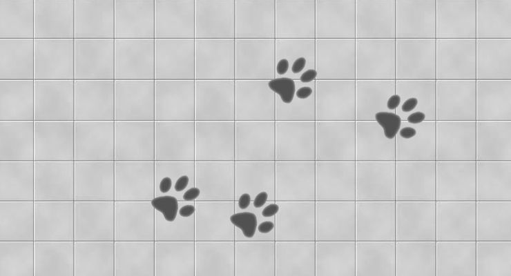 Una ducha para el perro, 6 ideas