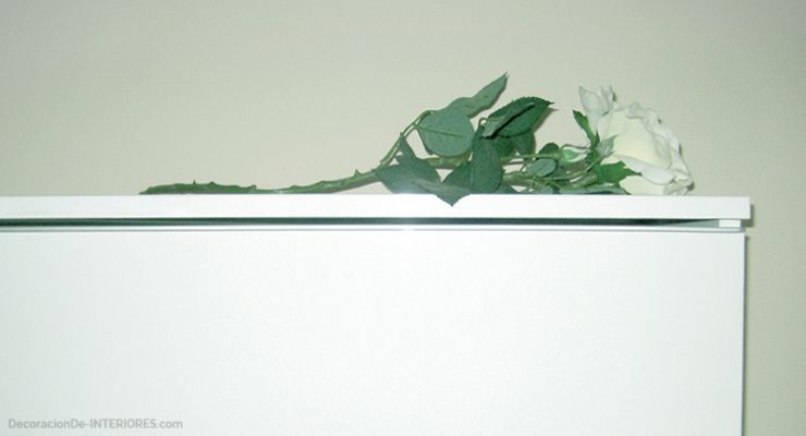 Rosa blanca | Las plantas artificiales | DecoracionDe-INTERIORES.com