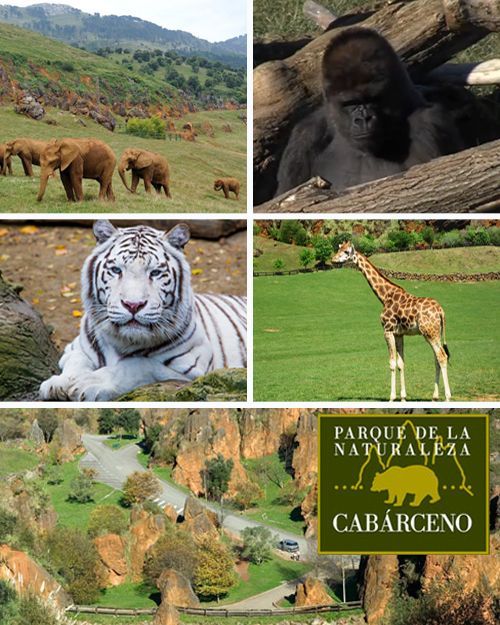 Parque de la Naturaleza de Cabárceno, en Cantabria
