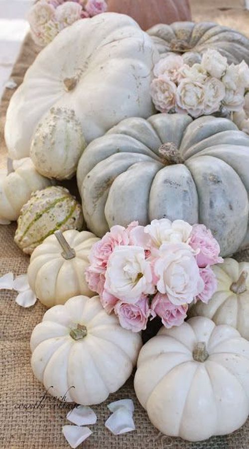 D. Decoración de Halloween con calabazas blancas