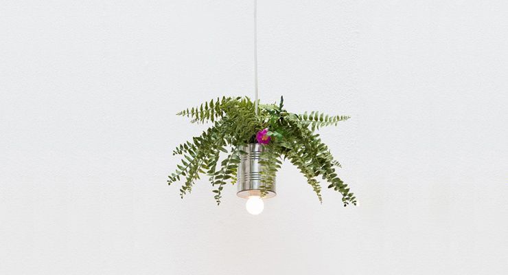 Lámpara/Planta, DIY con una lata
